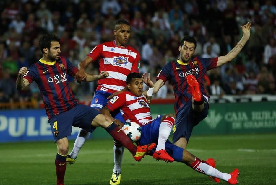 与队友进行 与队友进行