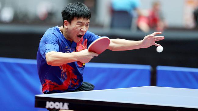 经验老道的 经验老道的